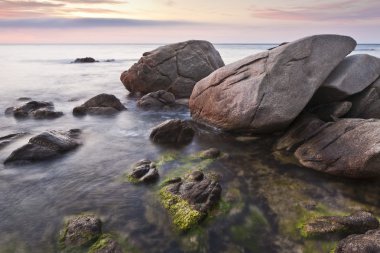 egzotik costa brava