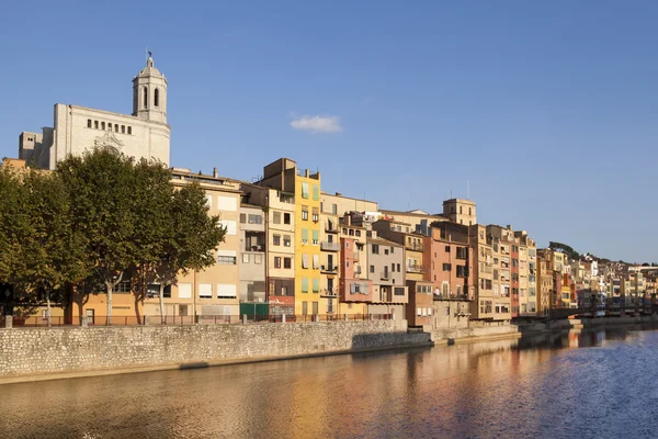 stock image Girona Cathedral