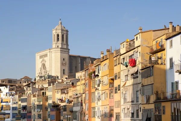 Girona Cathedral and his colourful houses — Stock Photo, Image