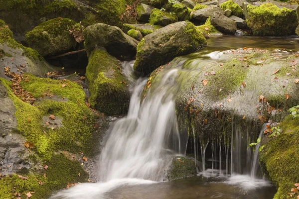 stock image Flowing water