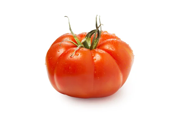 Spanish tomato — Stock fotografie