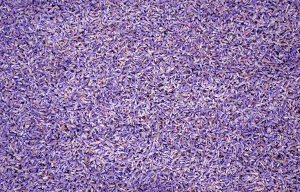 stock image Lavander seeds background