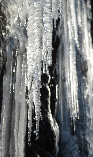Icicles lit by the sun — Stock Photo, Image