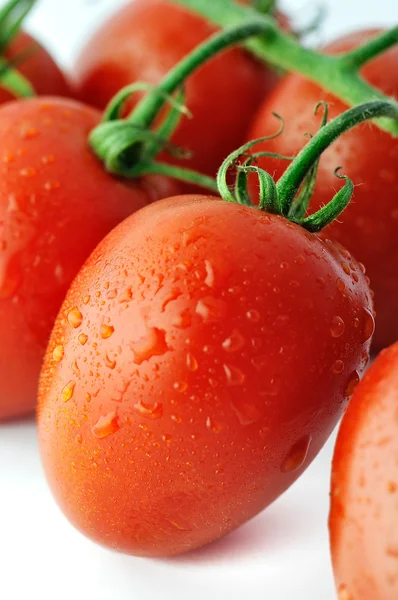 Stock image Piccadilly Tomato Close-Up