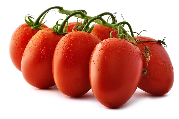 Piccadilly pomidory z bliska Zdjęcie Stockowe