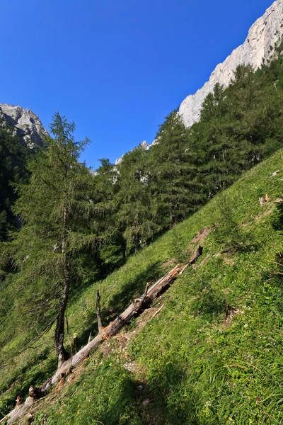 Dağ vadisi — Stok fotoğraf