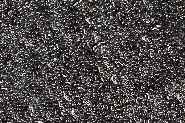 Χαβιάρι μαύρο — Φωτογραφία Αρχείου