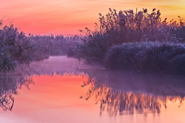 Avant le lever du soleil sur le lac — Photo