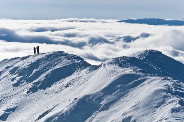 Зима на вершине горы — стоковое фото