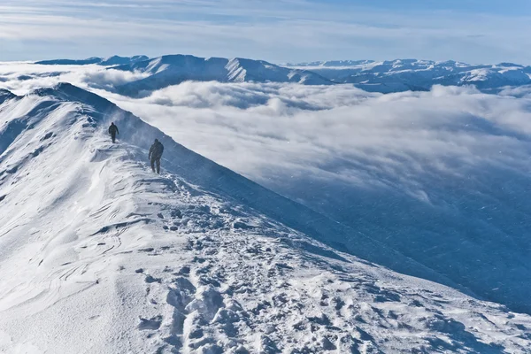Ein Schneesturm auf dem Gipfel des Berges — Stockfoto