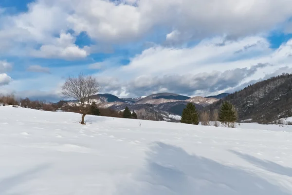 Snö på en kulle — Stockfoto