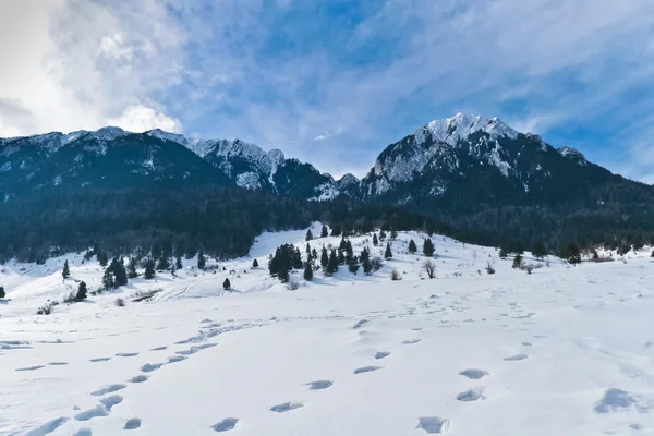 Urme de pași în zăpadă — Fotografie, imagine de stoc