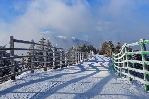 Camino rústico en invierno — Foto de Stock