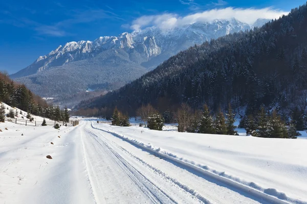 Rustic road in winter — Stock Photo, Image