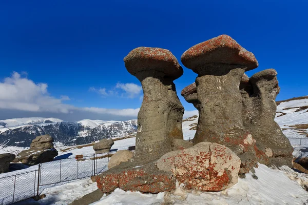 Grupa kamień w Karpatach — Zdjęcie stockowe