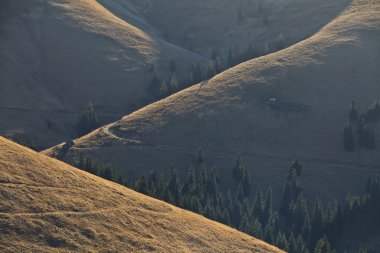 sabah güneşi bir tepe üzerinde