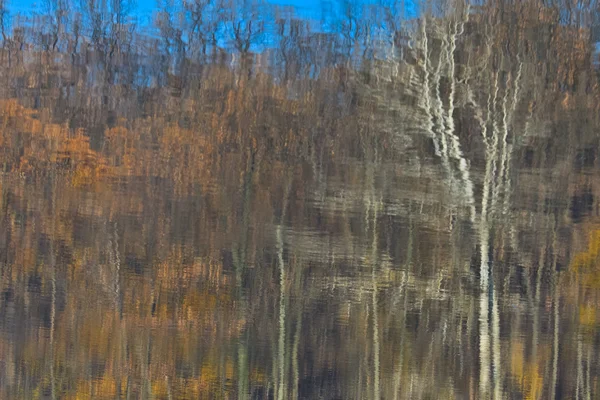 森水 — ストック写真