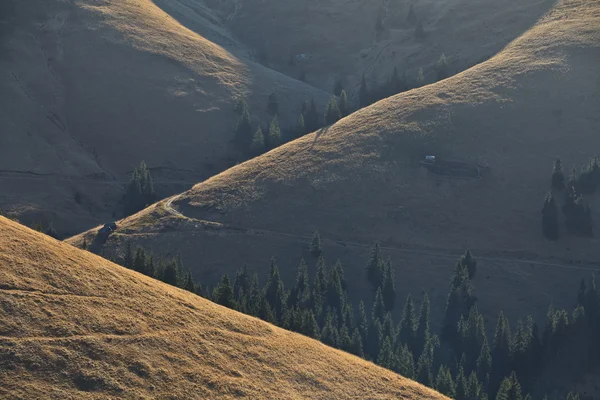 丘の上に朝の光 — ストック写真