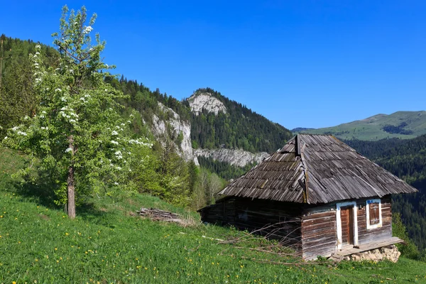 Rustic house — Stock Photo, Image