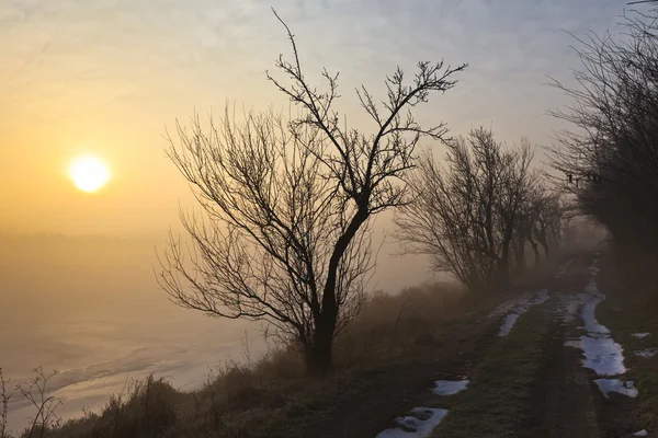 Путь сквозь туман — стоковое фото
