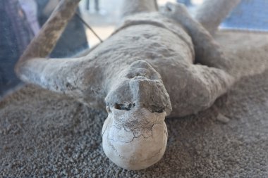 Man dead in pompeii clipart