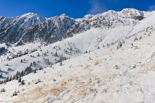 Zimní horské scenérie — Stock fotografie