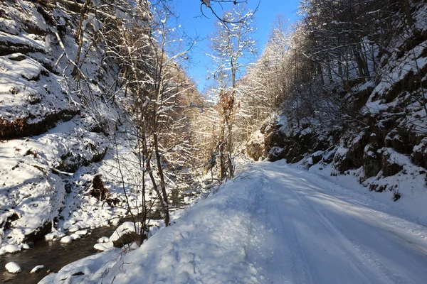Venkovské silnice v zimě — Stock fotografie