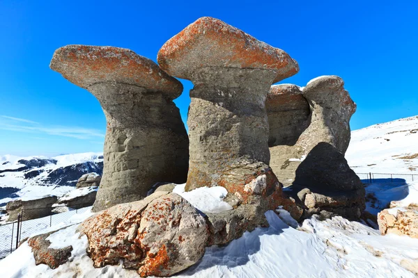 Kamenné skupina v Karpatských horách — Stock fotografie