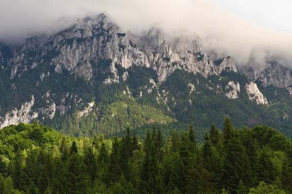 Bergen en wolken — Stockfoto