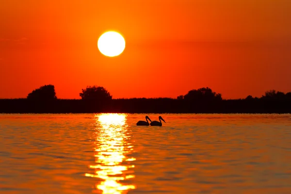 Восход солнца в дельте Дуная — стоковое фото