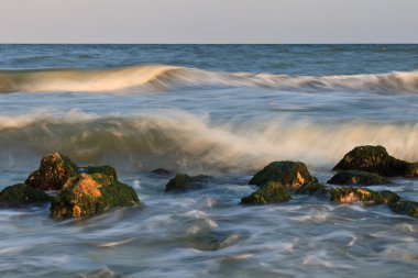 vahşi beach