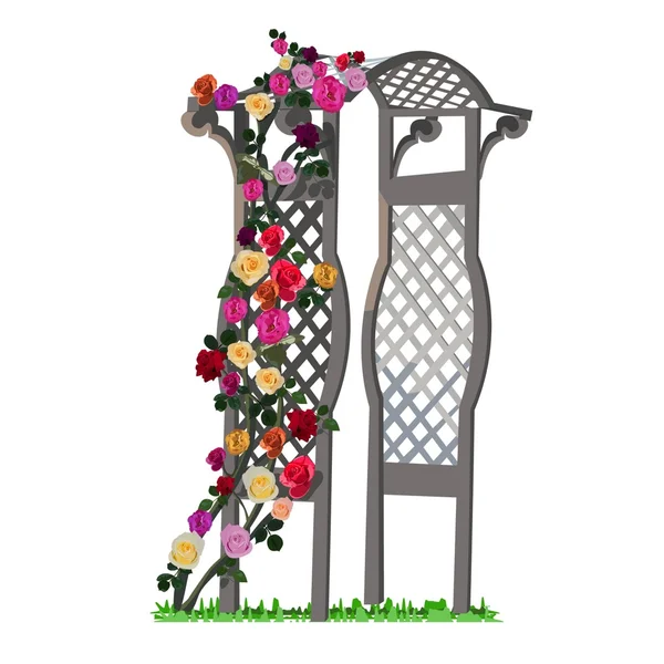 Arbor with rose — Stock Vector