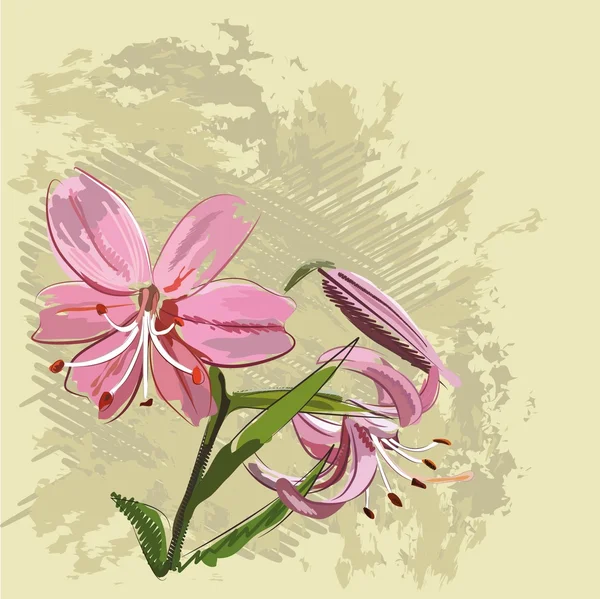 Flowerses to lilies — Stock Vector