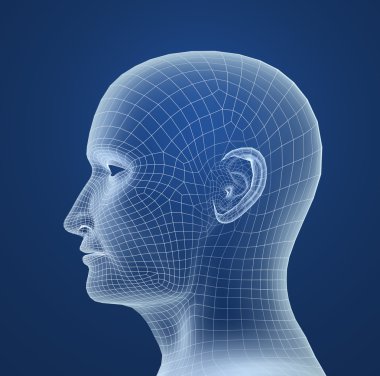 Human head wire model clipart