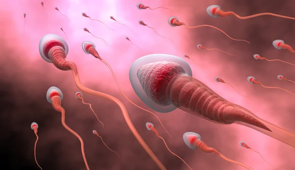 Natürliche Befruchtung: Sperma und menschliche Eizelle — Stockfoto