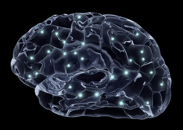Mänskliga hjärnan och nervceller — Stockfoto