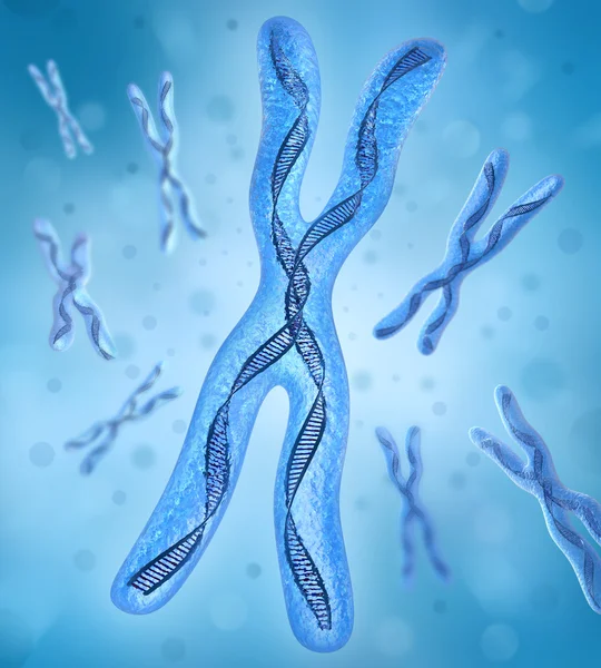 Хромосома x, ДНК-пряди — стоковое фото