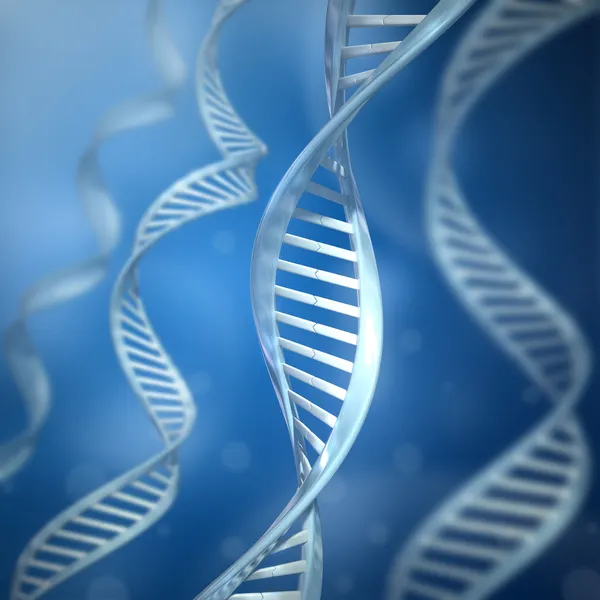 ДНК-нити — стоковое фото