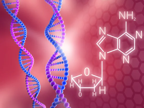 DNA 가닥 — 스톡 사진