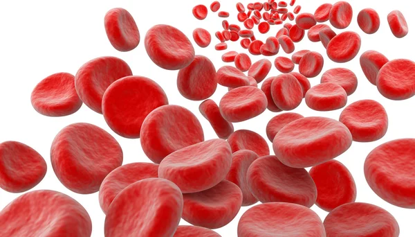 Glóbulos rojos sobre fondo blanco — Foto de Stock