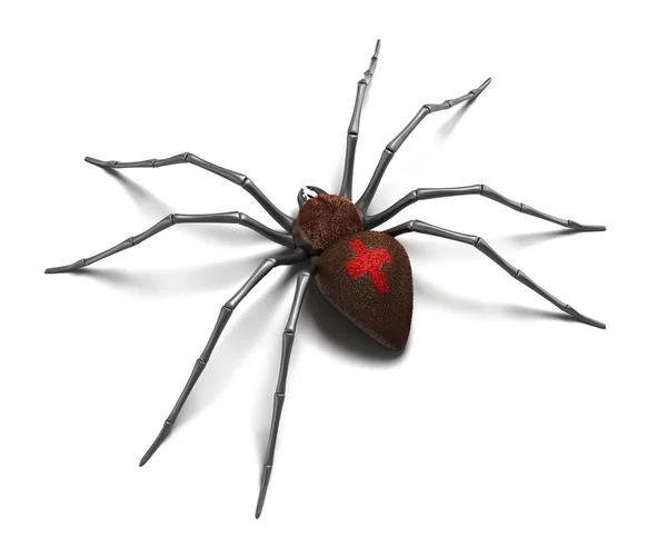 Павук: Чорна вдова. Ізольовані на білій поверхні — стокове фото
