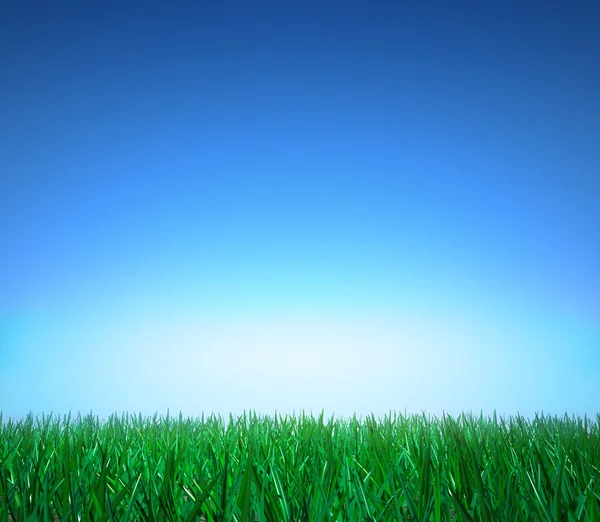 Landscape: green grass, clear blue sky — Stock Photo, Image