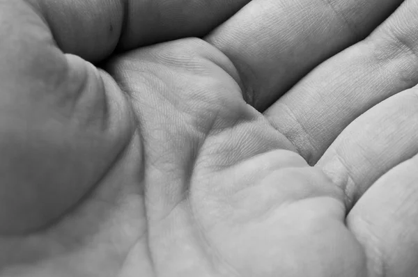 stock image Human hand