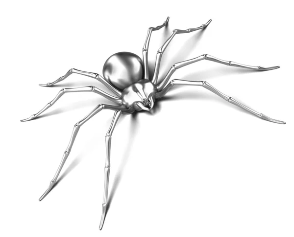 Pók: Fekete özvegy. Elszigetelt fehér felület — Stock Fotó