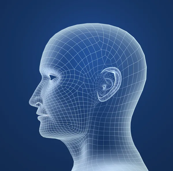Lidské hlavy drátěný model — Stock fotografie