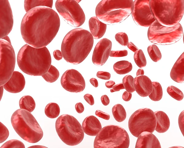 Клетки крови на белом фоне — стоковое фото