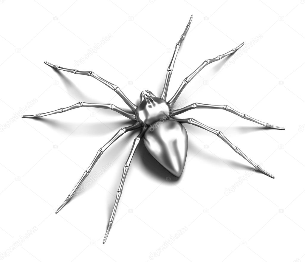Spider : Black Widow. Isolated on white surface