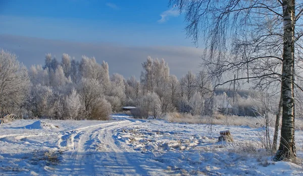 stock image Winter evening