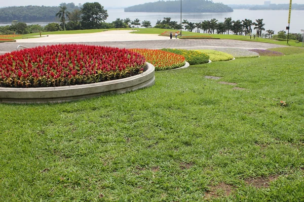 Park guarapiranga Brazília — Stock Fotó