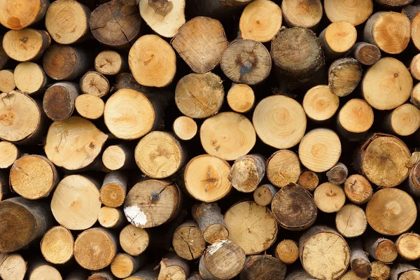 stock image Pile of wood logs ready for winter